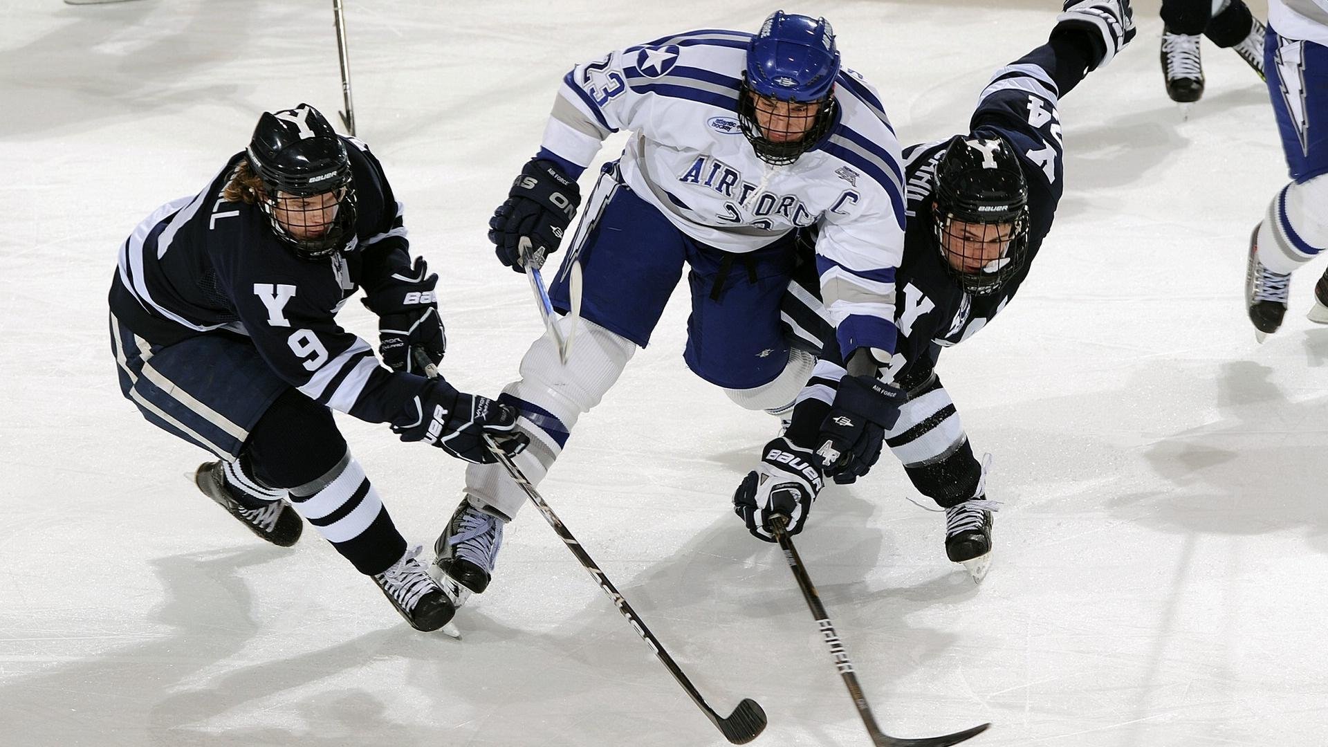 澳大利亚袋鼠队的后卫线防守，为团队带来坚实屏障，袋鼠袭击澳大利亚